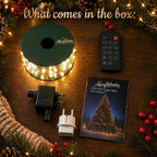 What comes in the box – strands, remote, USB adapter, manual