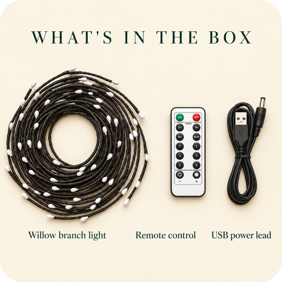 What's in the box – willow branch light, remote, USB lead